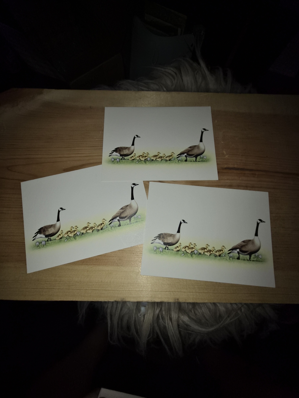 Vintage Michael Speiser Canada Goose Art Note Cards – Set of 3 – Blank Inside